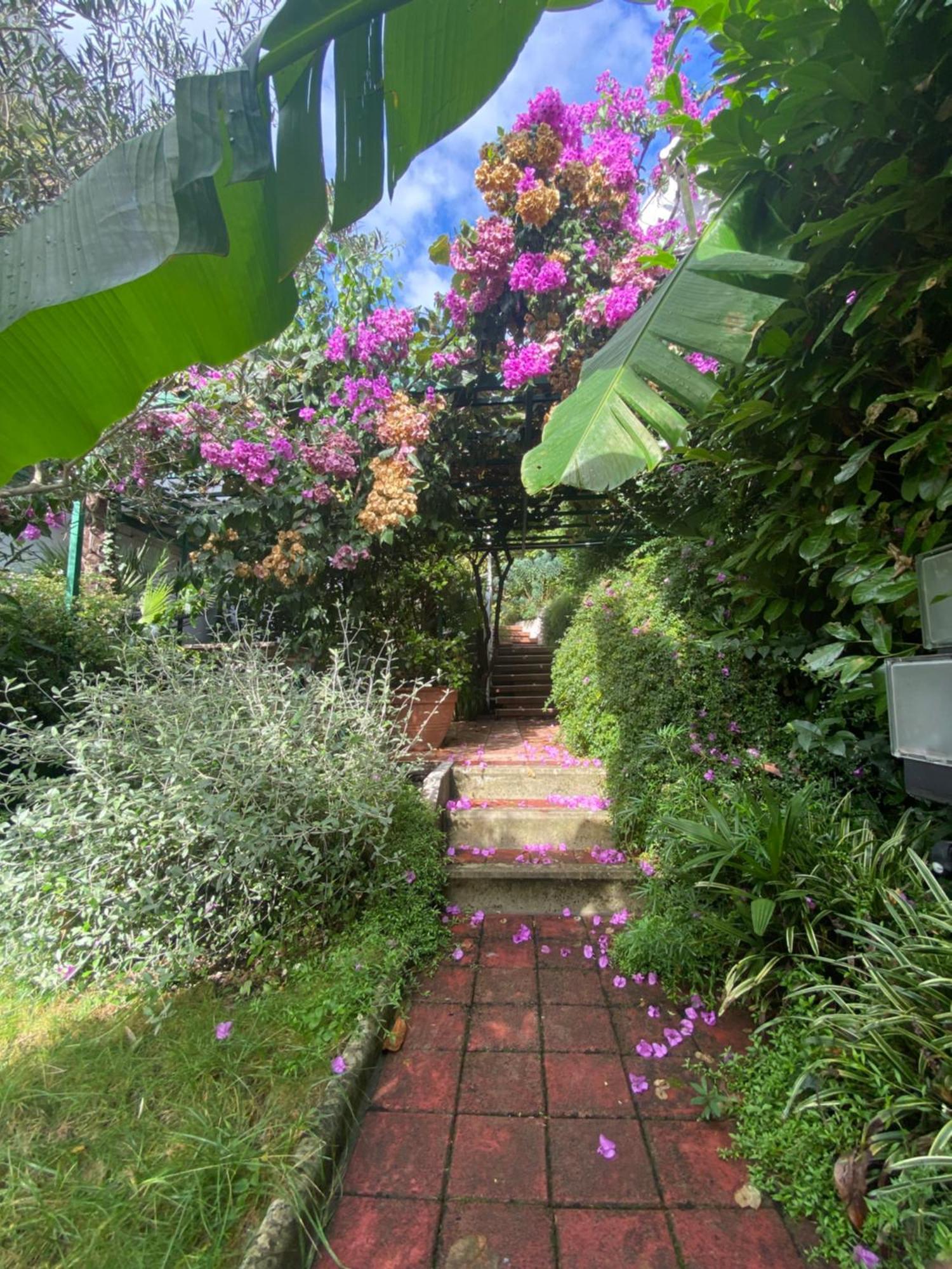 Sunny Garden Apartment Opatija Luaran gambar